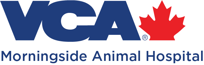 MORNINGSIDE ANIMAL HOSPITAL